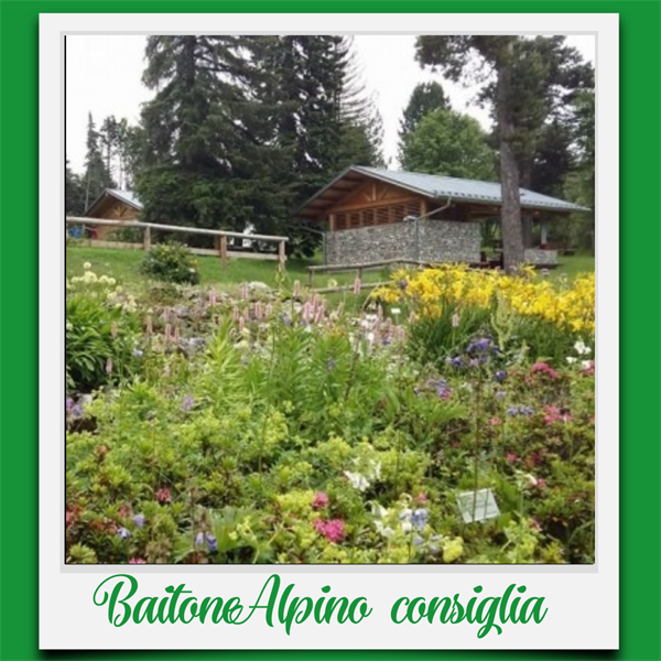 BaitoneAlpino Consiglia: Giardino Botanico Alpino Viote